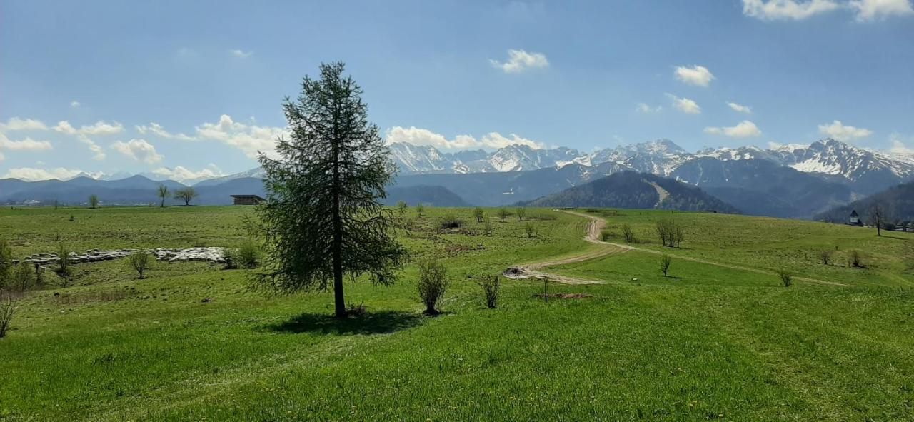 Pokoje Goscinne Przeklasa Pawel Zakopane Exterior photo