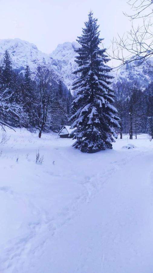 Pokoje Goscinne Przeklasa Pawel Zakopane Exterior photo